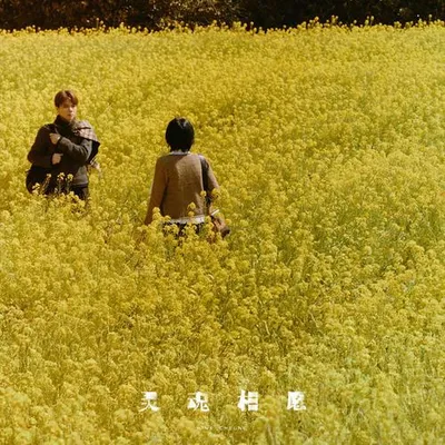 靈魂相願
