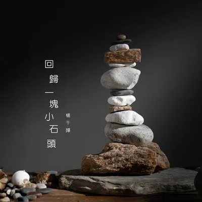 迴歸一塊小石頭 專輯封面