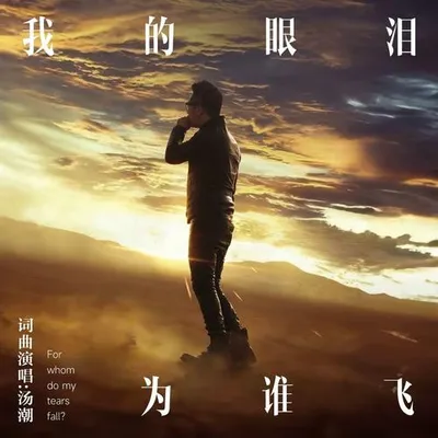 我的眼淚為誰飛 專輯封面