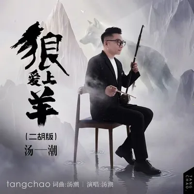 狼愛上羊（二胡版） 專輯封面