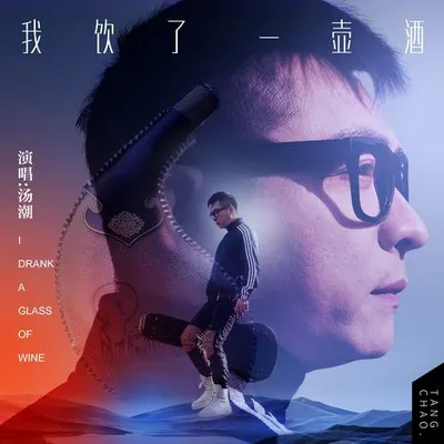 我飲了一壺酒 專輯封面