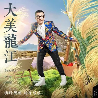 大美龍江 專輯封面