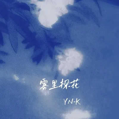霧裡探花