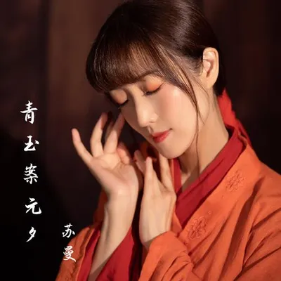 青玉案.元夕 專輯封面