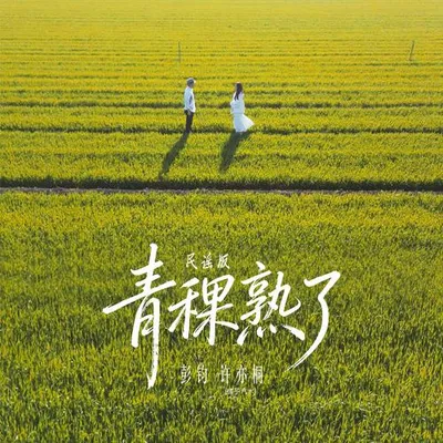 青稞熟了（民謠版） 專輯封面