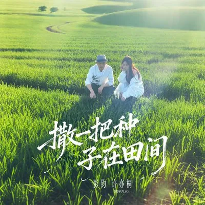 撒一把種子在田間 專輯封面