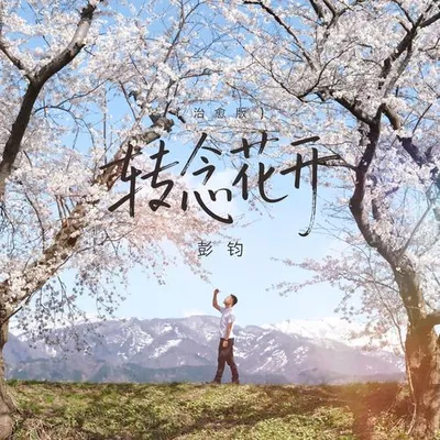 轉念花開（治癒版） 專輯封面