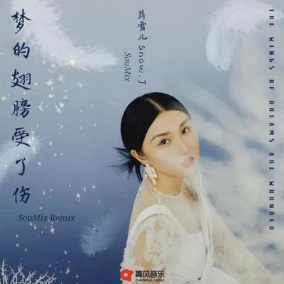 夢的翅膀受了傷 (SouMix Remix) 專輯封面