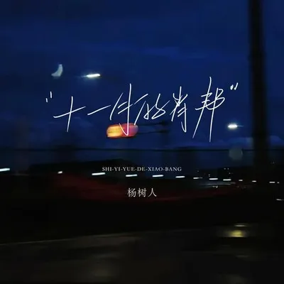 十一月的肖邦 專輯封面
