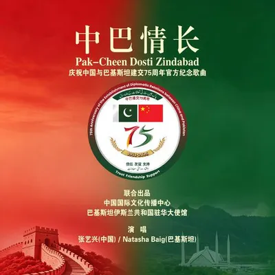 中巴情長