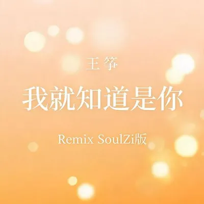 我就知道是你Remix（SoulZi版）