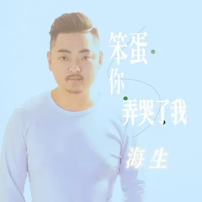 笨蛋你弄哭了我