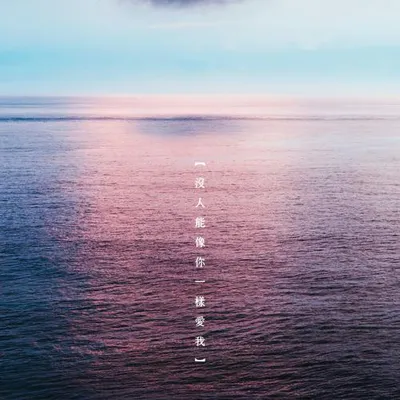沒人能像你一樣愛我