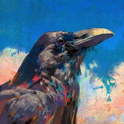 烏 - Raven 專輯封面