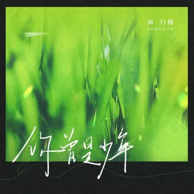 你曾是少年