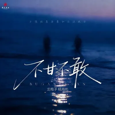 不甘不敢 專輯封面