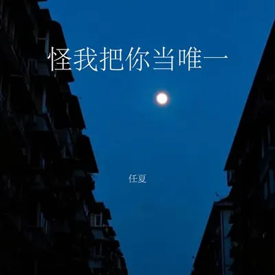 怪我把你當唯一 專輯封面