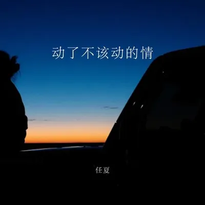 動了不該動的情 專輯封面