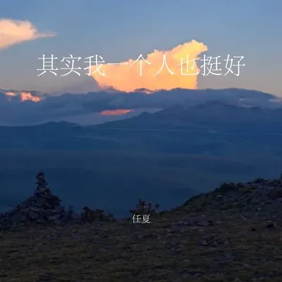 其實我一個人也挺好 專輯封面