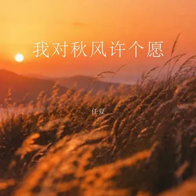 我對秋風許個願 專輯封面
