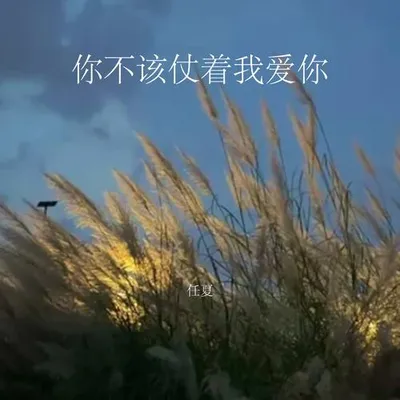 你不該仗著我愛你 專輯封面
