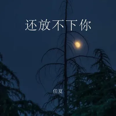 還放不下你 專輯封面
