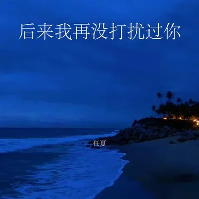 後來我再沒打擾過你 專輯封面