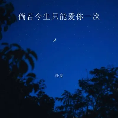 倘若今生只能愛你一次 專輯封面