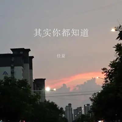 其實你都知道 專輯封面