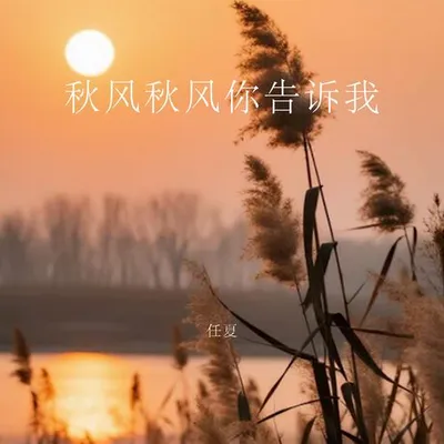 秋風秋風你告訴我 專輯封面