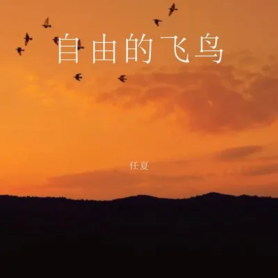 自由的飛鳥 專輯封面