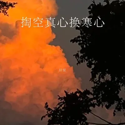 掏空真心換寒心 專輯封面