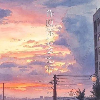 你說你怎麼忍心 專輯封面