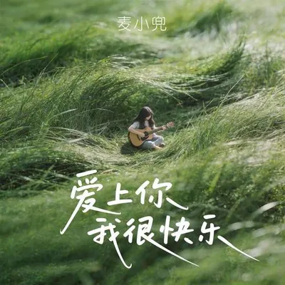 愛上你我很快樂 專輯封面
