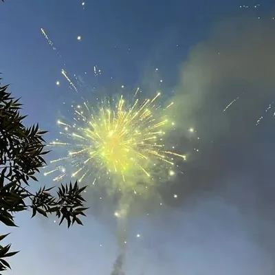 未聞花名 專輯封面