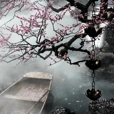 水中花 專輯封面