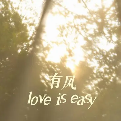有風 專輯封面