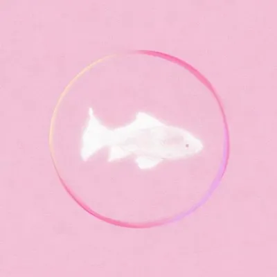 小魚睡了