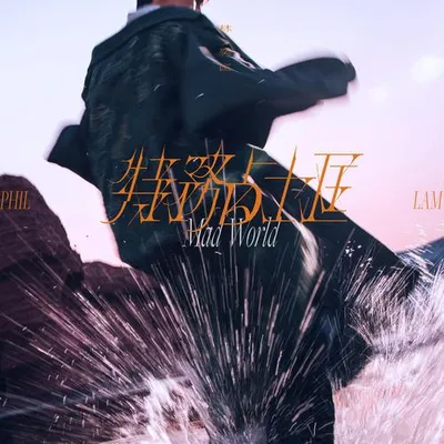 特務佔士匡 Mad World
