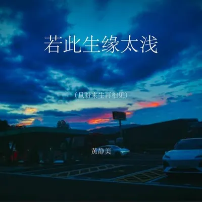 若此生緣太淺（只盼來生再相見） 專輯封面