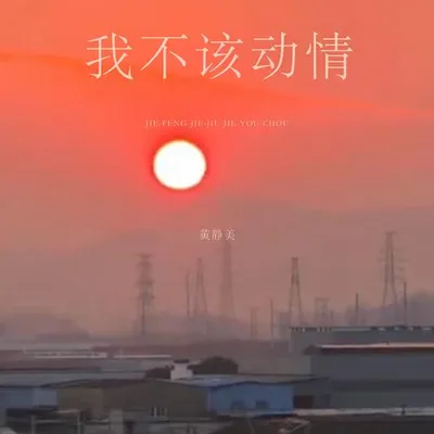 我不該動情