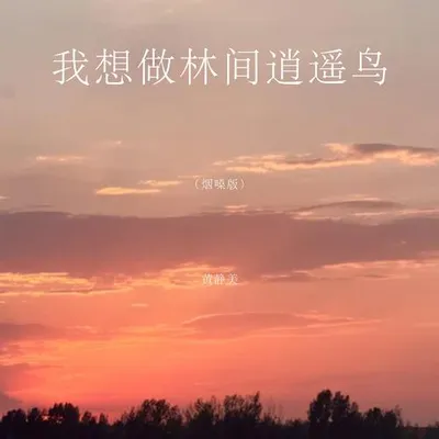 我想做林間逍遙鳥（煙嗓版）