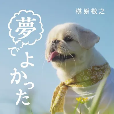 夢でよかった 專輯封面