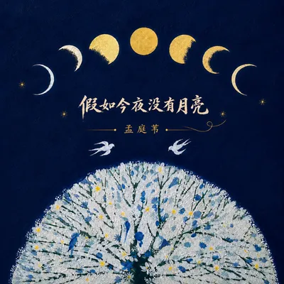 假如今夜沒有月亮 專輯封面