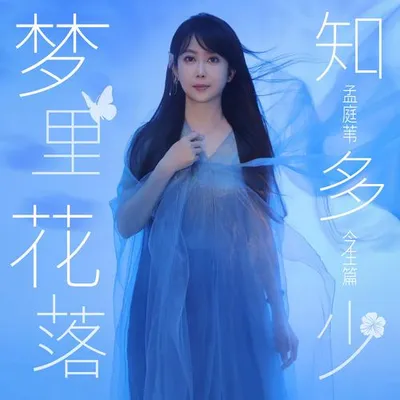 夢裡花落知多少（今生篇） 專輯封面