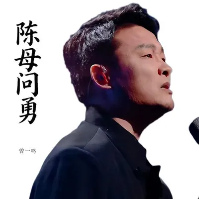 陳母問勇