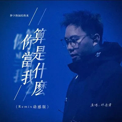 你當我算是什麼 (Remix 動感版) 專輯封面