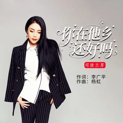 你在他鄉還好嗎 專輯封面