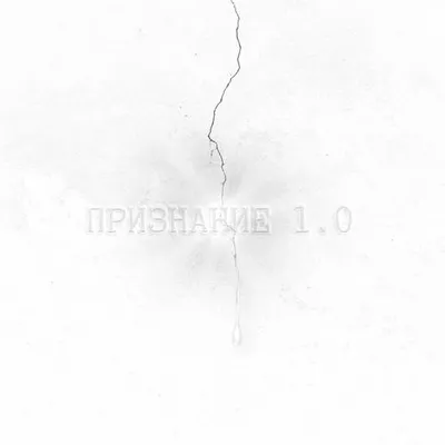 ПРИЗНАНИЕ 1.0