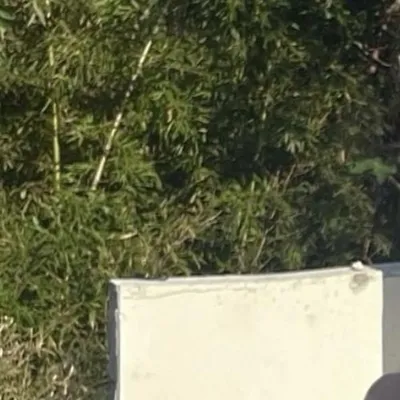 撕碎的回憶 專輯封面